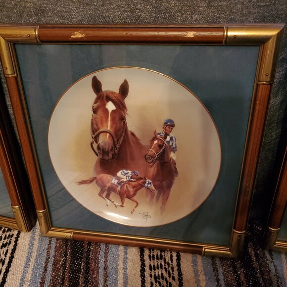 Fred Stone limited edition framed plate - Picture 2 of 8